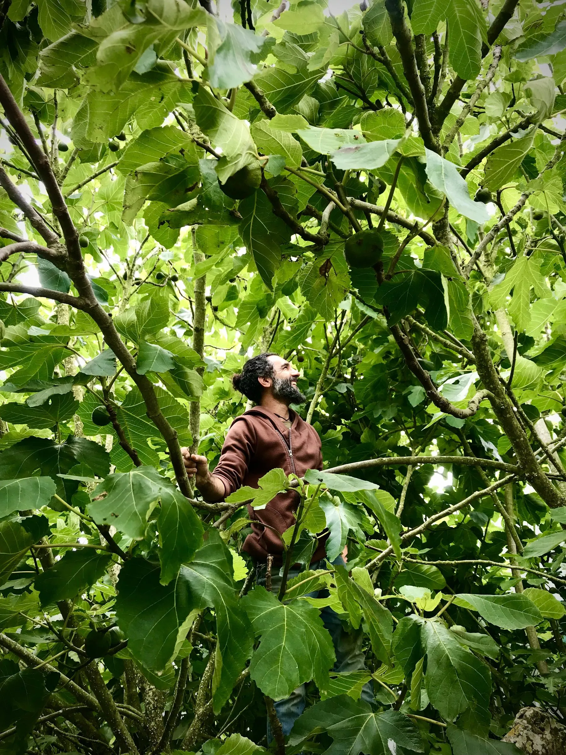 Peppi standing in the food forest